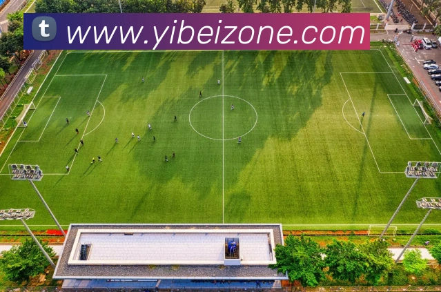 多媒体互动体验