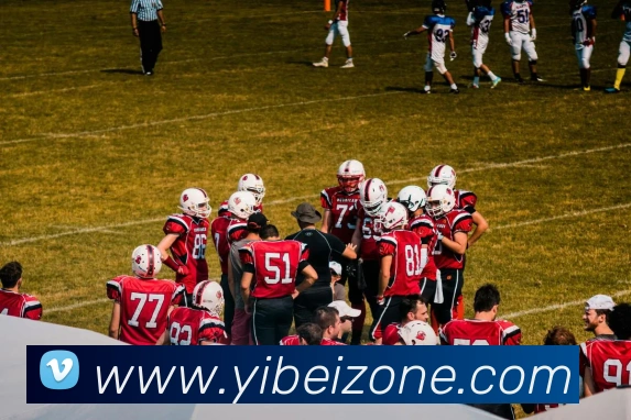 易倍体育APP 高清赛事图